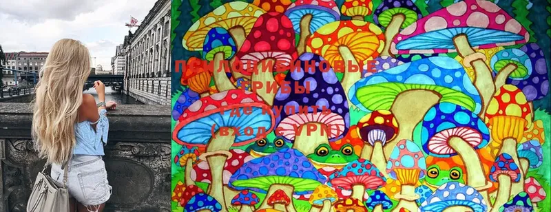 Галлюциногенные грибы MAGIC MUSHROOMS  это как зайти  Новотроицк  что такое наркотик  кракен как зайти 